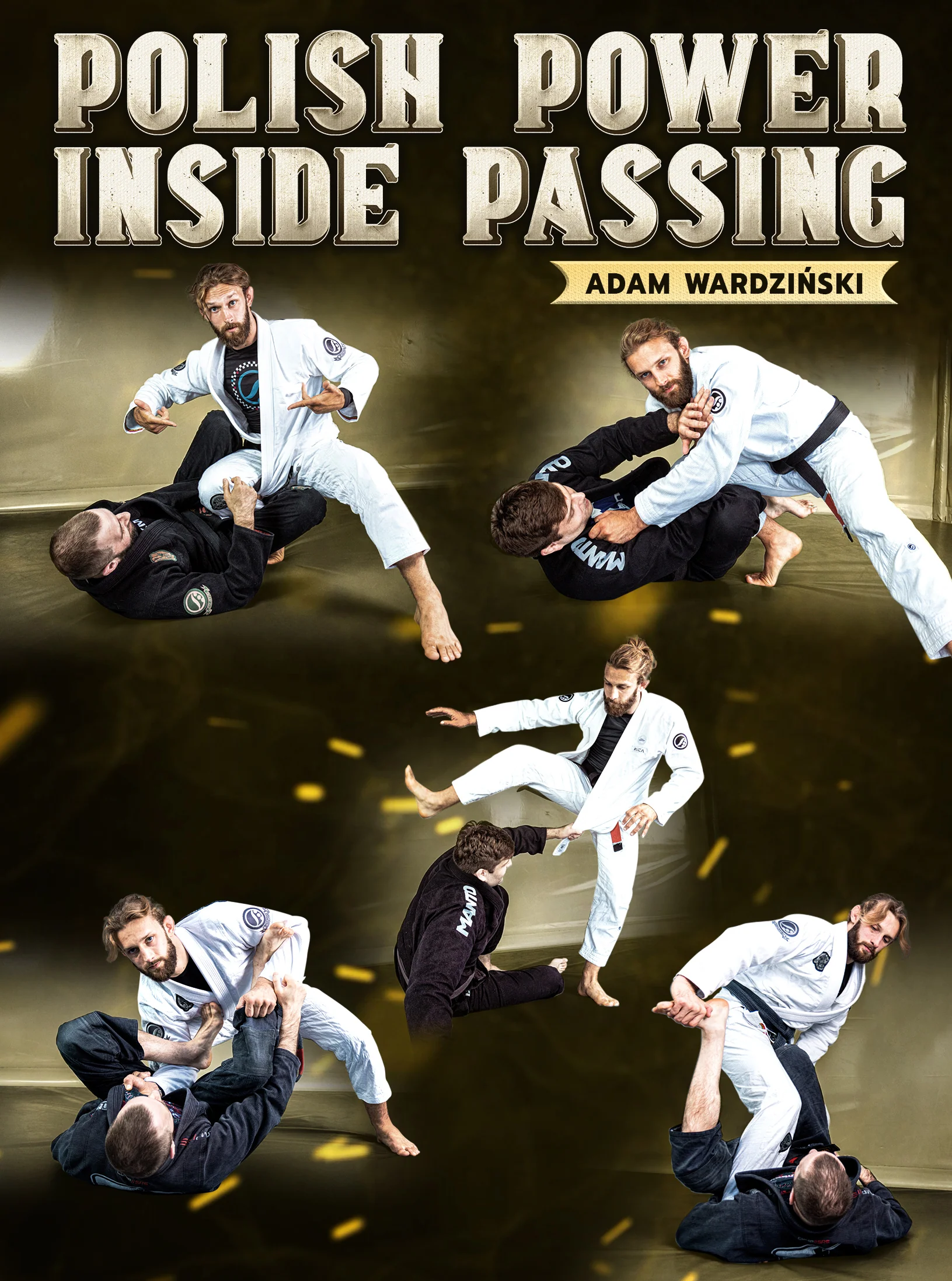 Polish Power Inside Passing by Adam Wardzinski