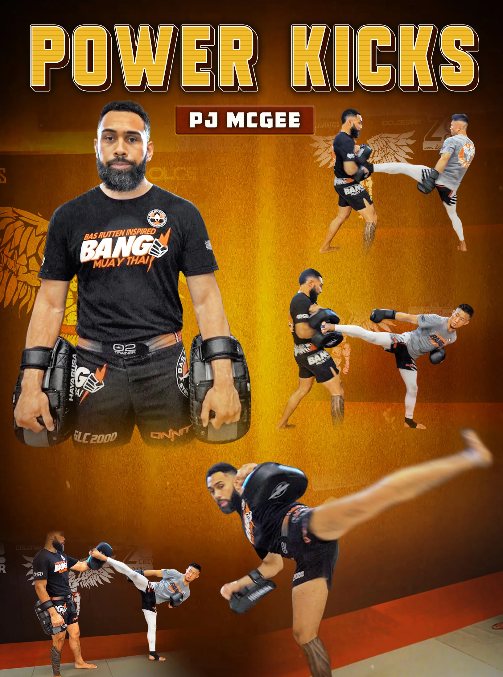 Power Kicks by PJ McGee