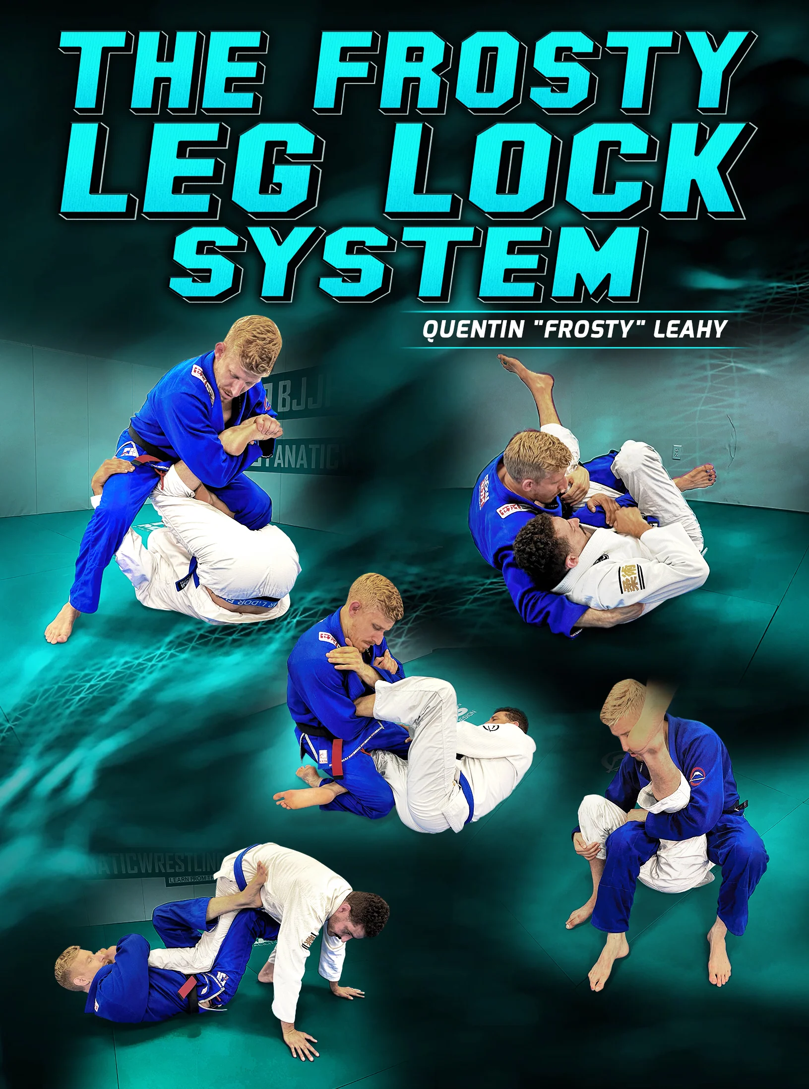 The Frosty Leg Lock System by Quentin Leahy